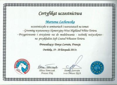 certyfikat 16