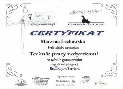 certyfikat 13
