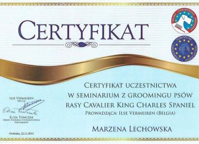 certyfikat 12