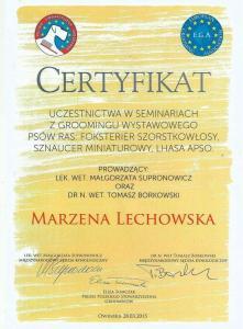 certyfikat 21