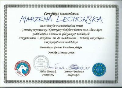 certyfikat 20